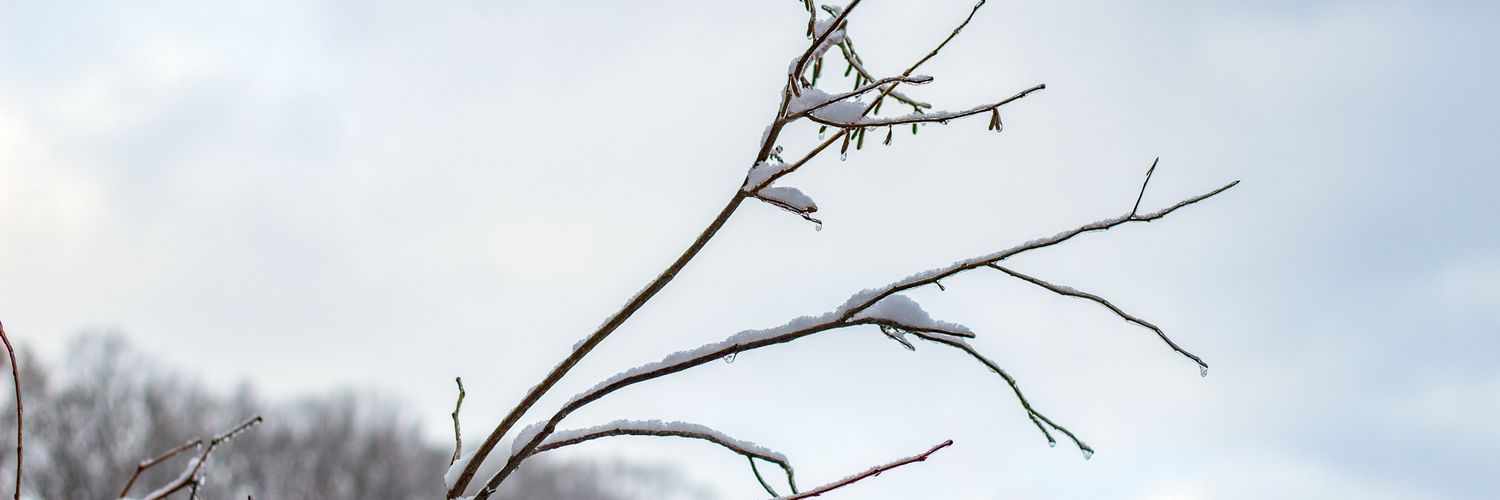 AustinStryker's profile banner image