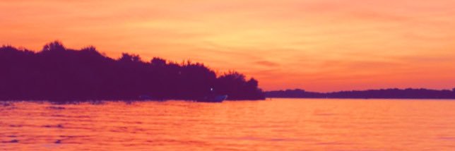 Hunter Johnson banner