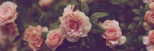 irarrazabalMJ's profile banner image