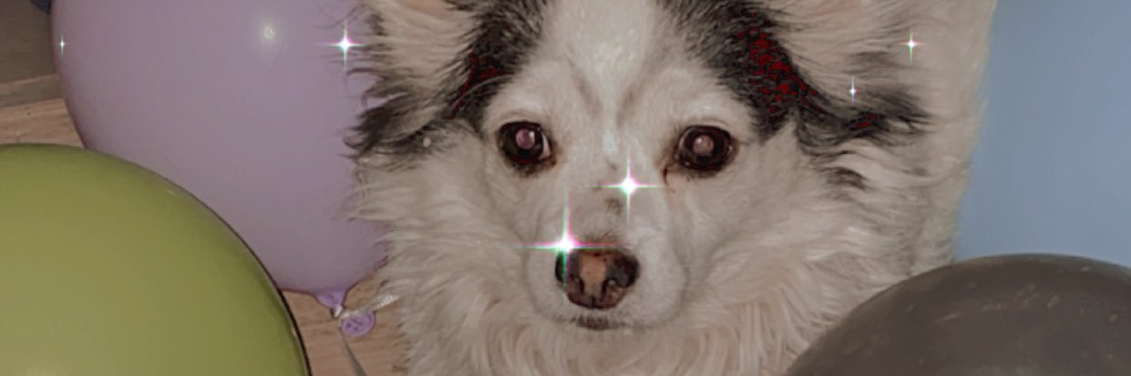 honeybebexo's profile banner image
