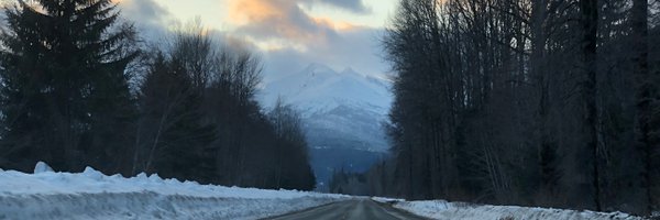 prmssd52 Profile Banner