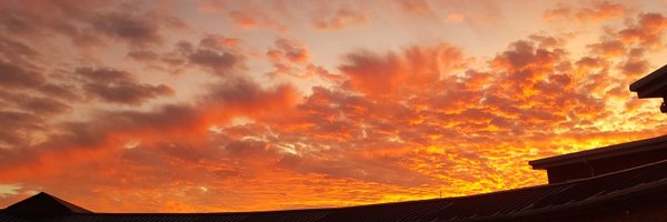 michael94210731 Profile Banner