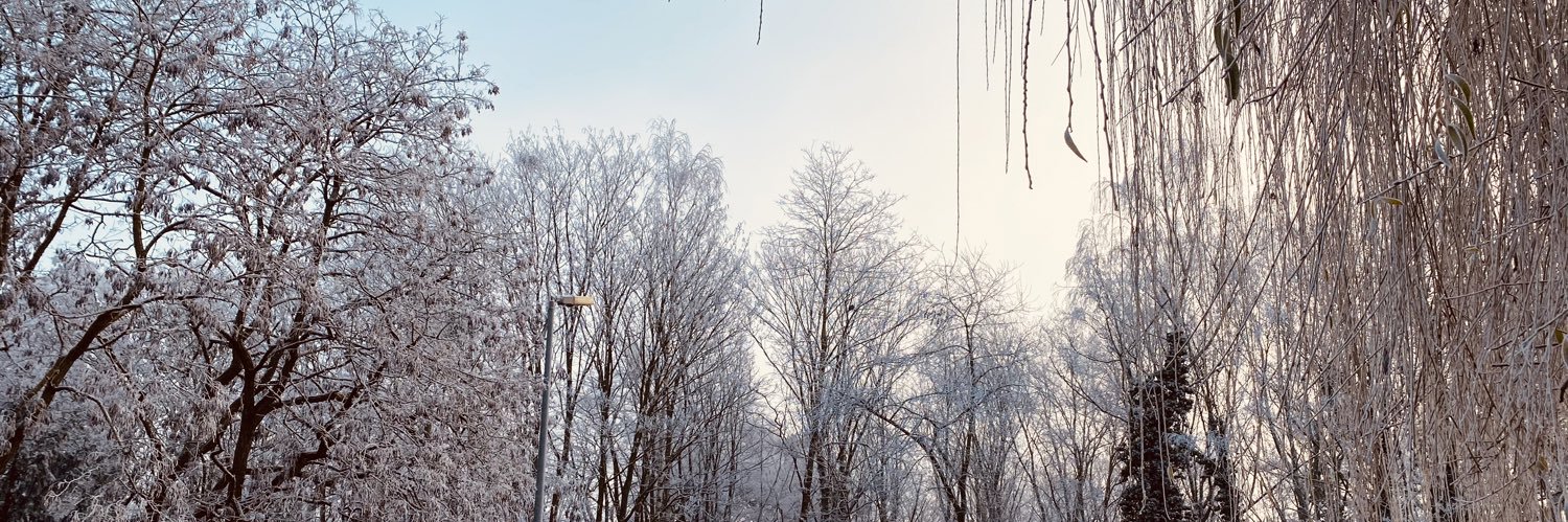 escarbootje's profile banner image