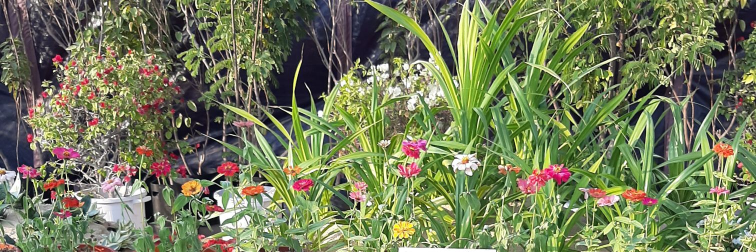 mwaslam's profile banner image