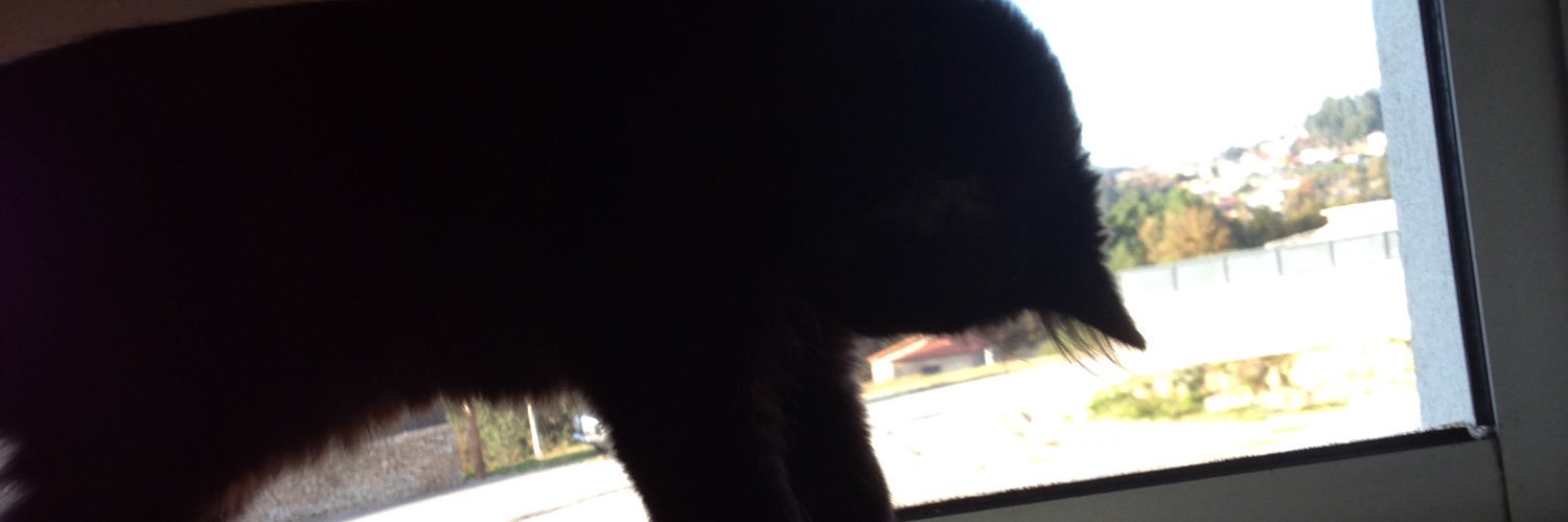21 banner