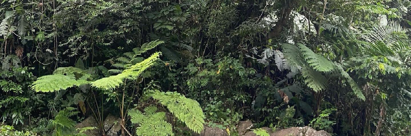 baedineee's profile banner image