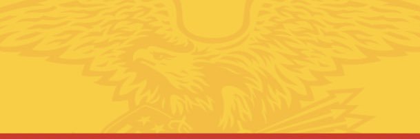 denmarkffa's profile banner image
