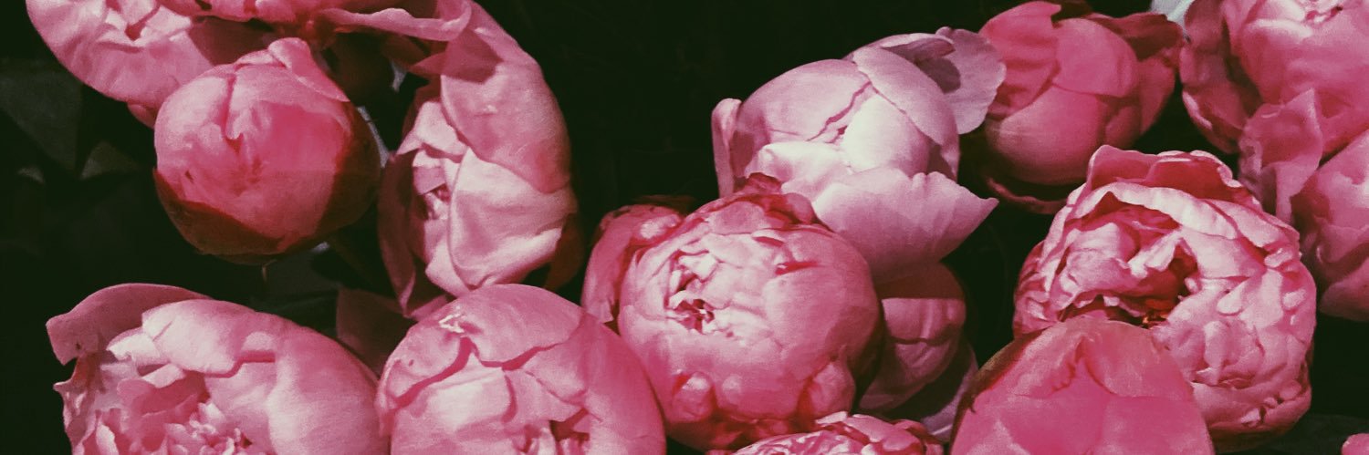 lemmeclarify's profile banner image