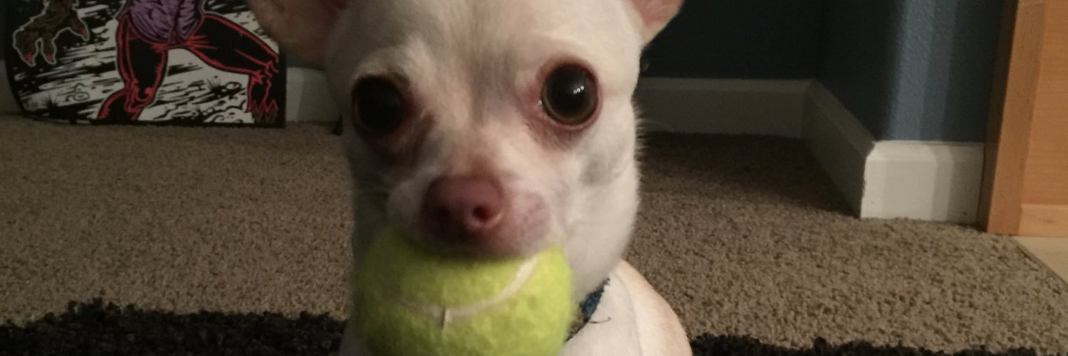 MattyRyan4's profile banner image