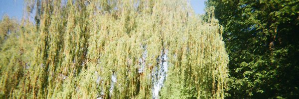 freshpunks Profile Banner