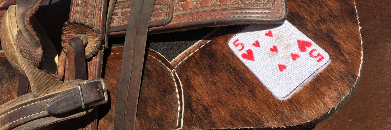BestEverPads's profile banner image