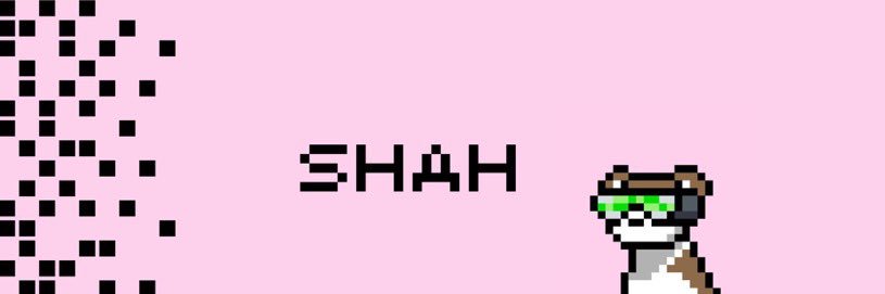 Shah banner