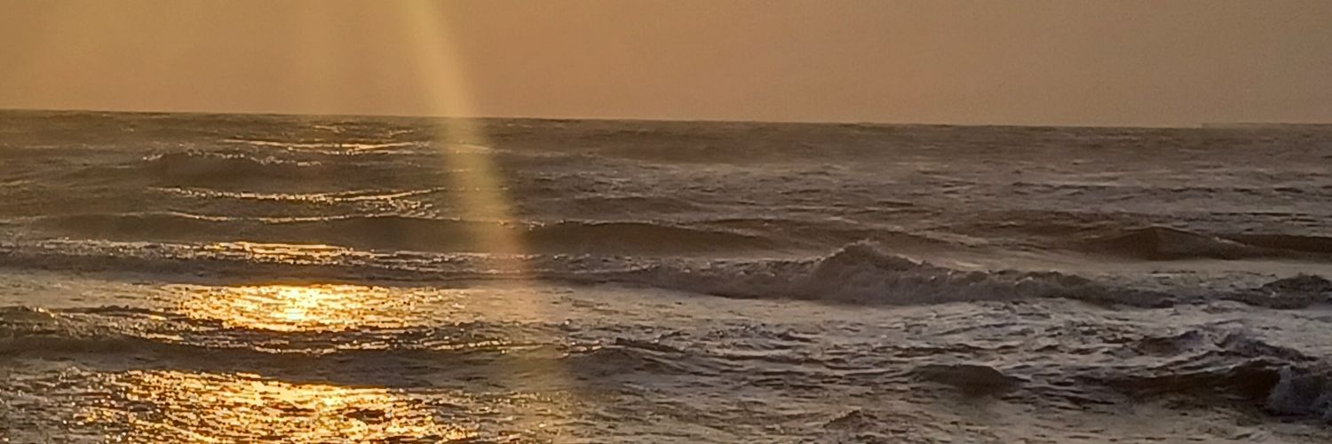 RinyvH's profile banner image