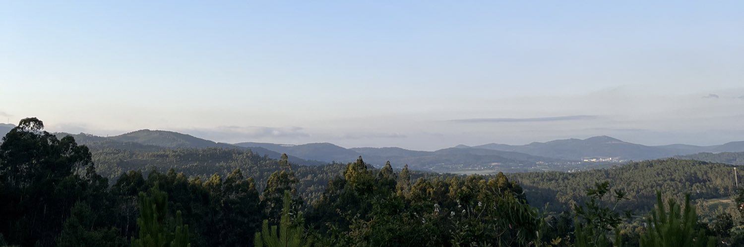 anapineiroagrel's profile banner image