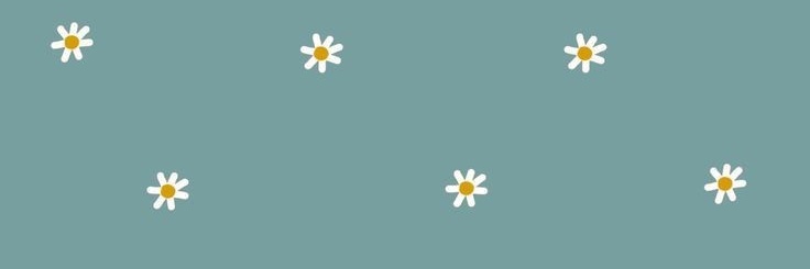 eaicarollima's profile banner image