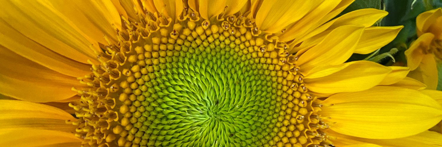 Tom Scoble 🌱 banner