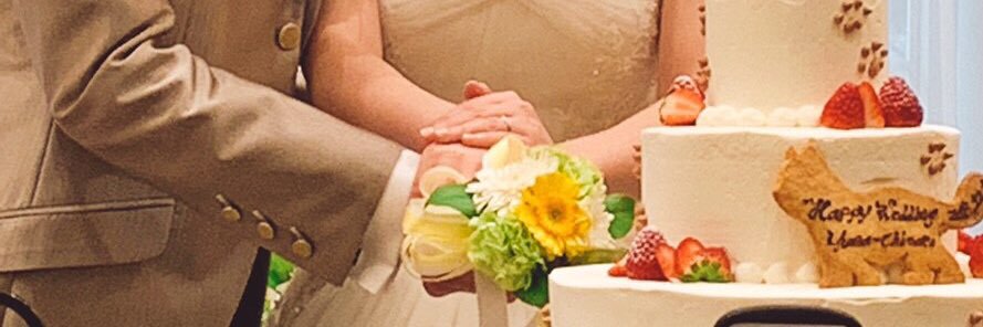 chasschin's profile banner image