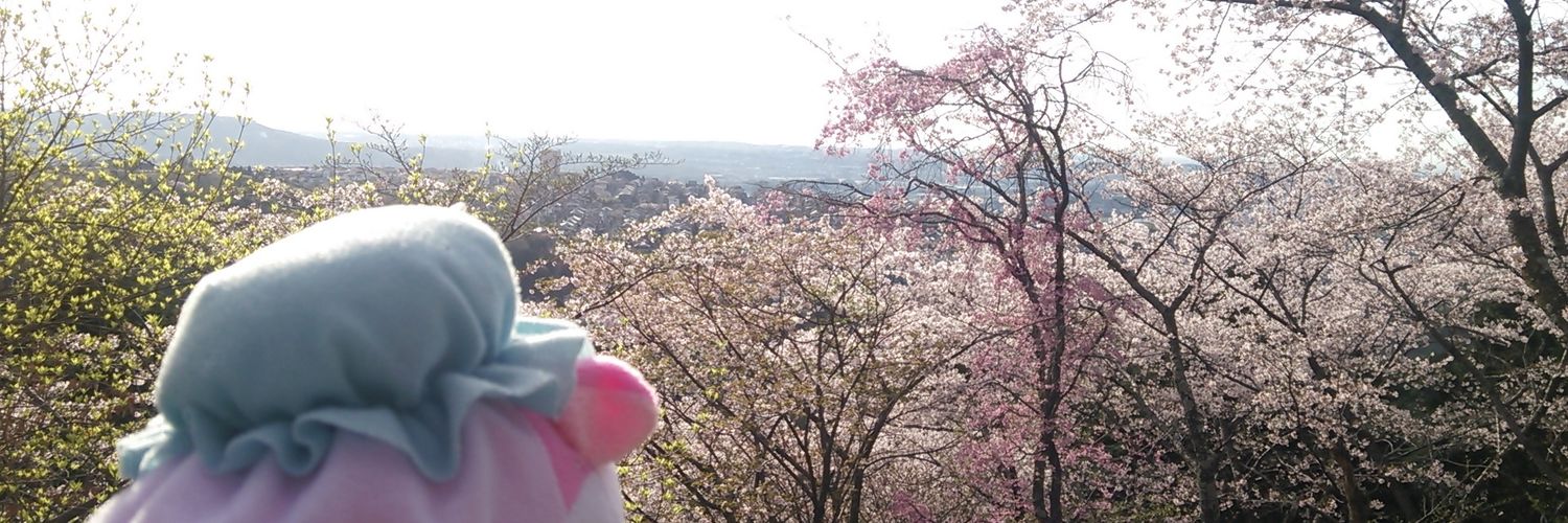 SCL1006's profile banner image