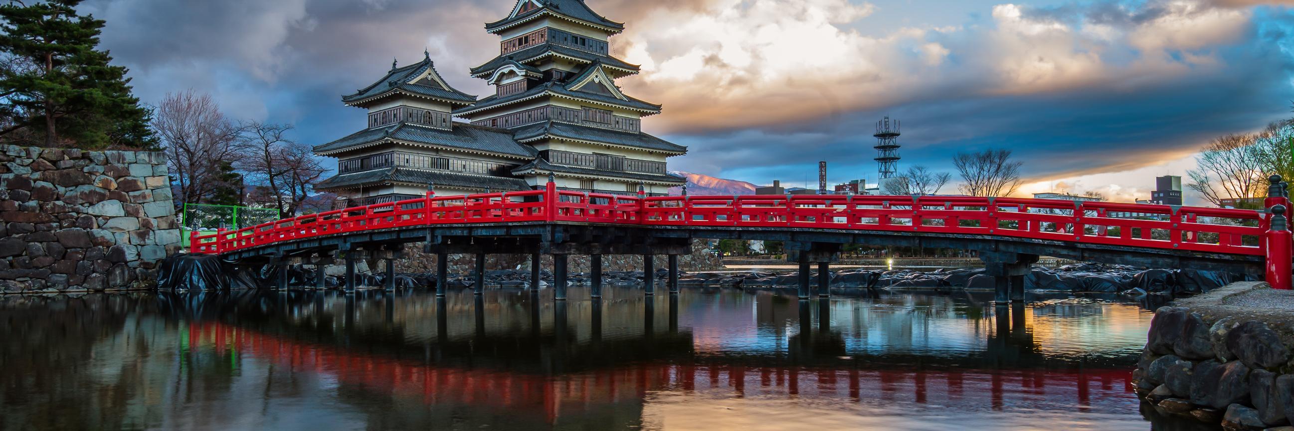 Yiannis Mavraganis banner