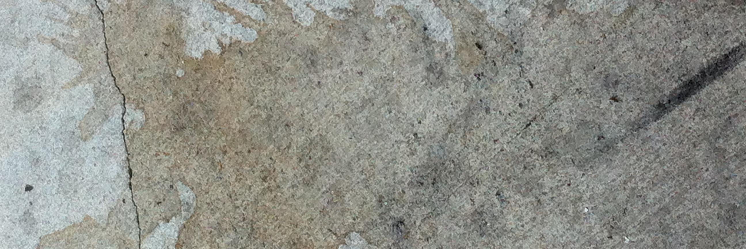 sleefrost's profile banner image