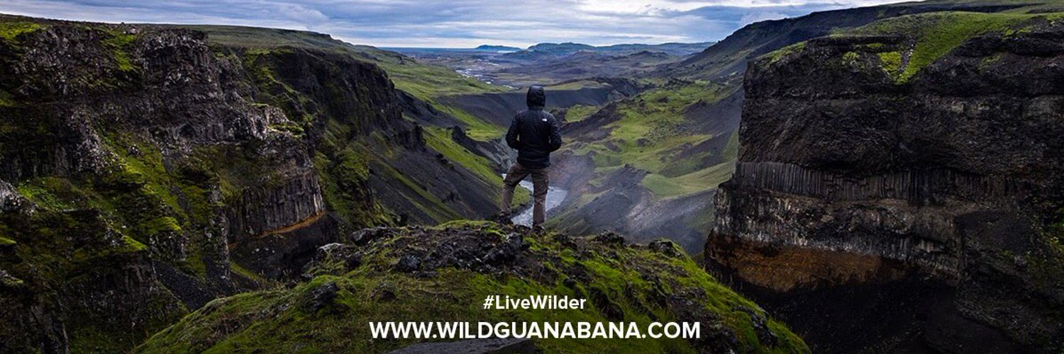 Wild Guanabana Profile Banner