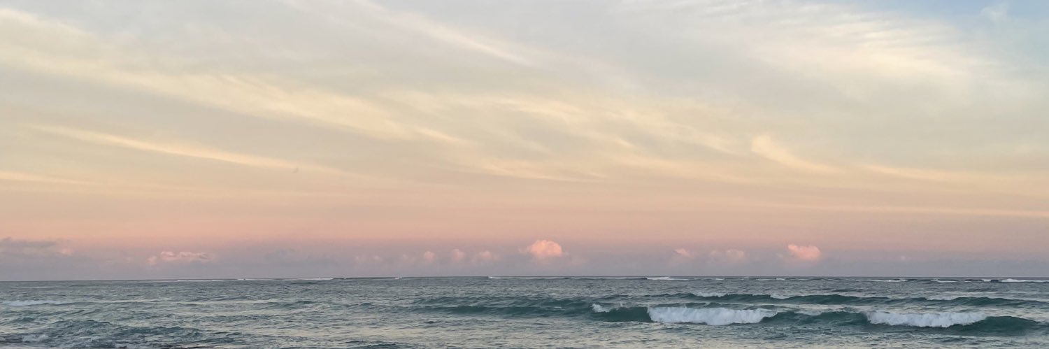 justinemliu's profile banner image