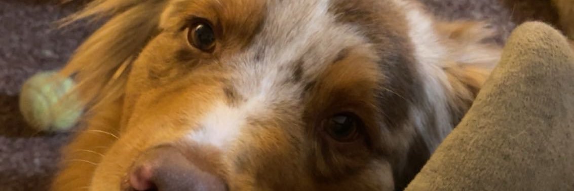 jorrdanknerr's profile banner image