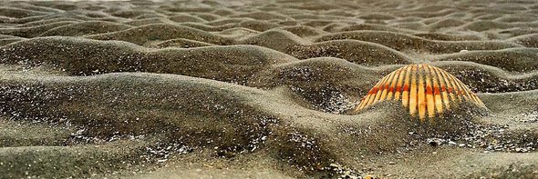 Gannon Medwick banner