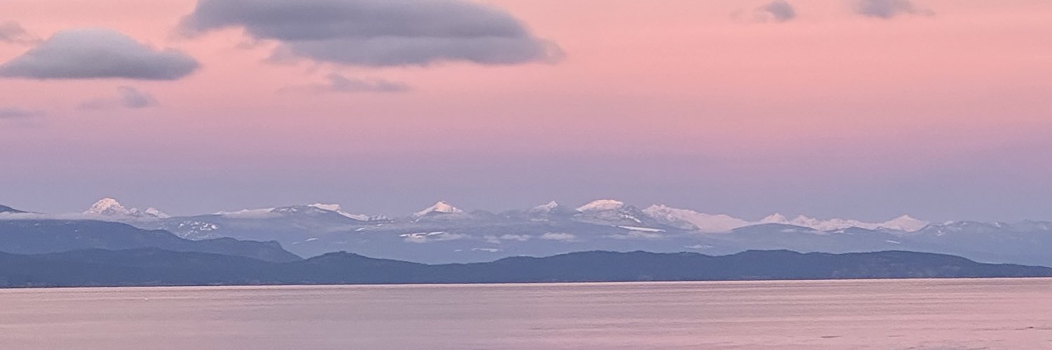 summerandi's profile banner image