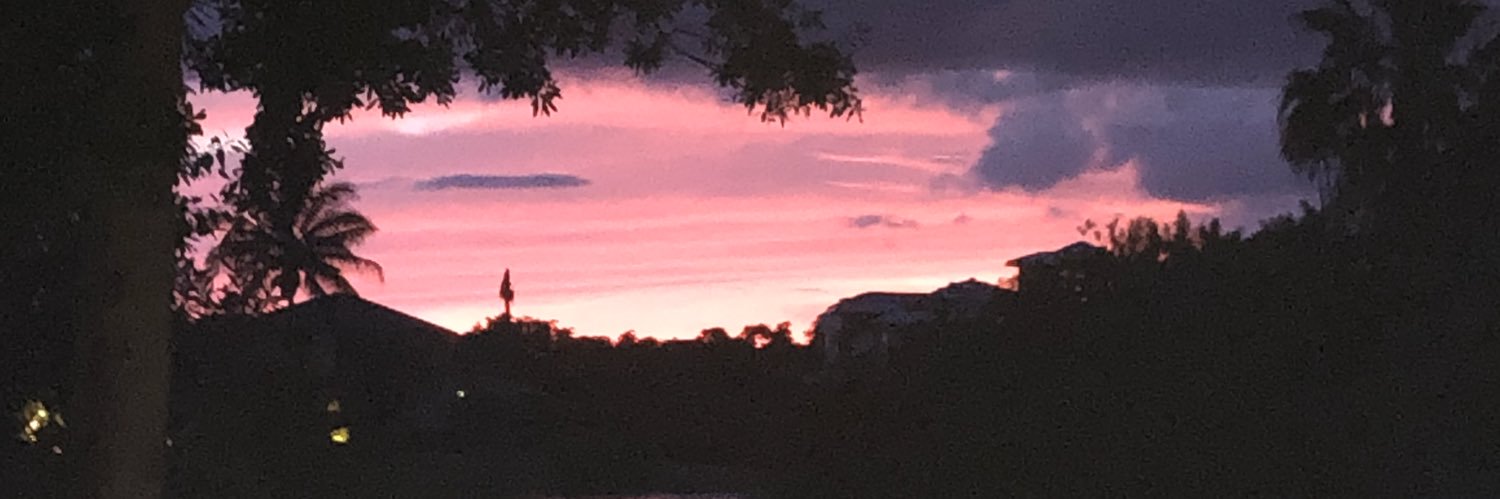 cheezyniecee's profile banner image
