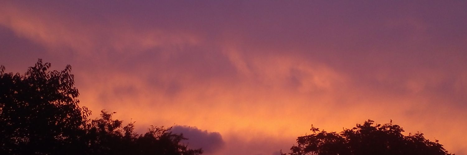 SebaReynosso's profile banner image