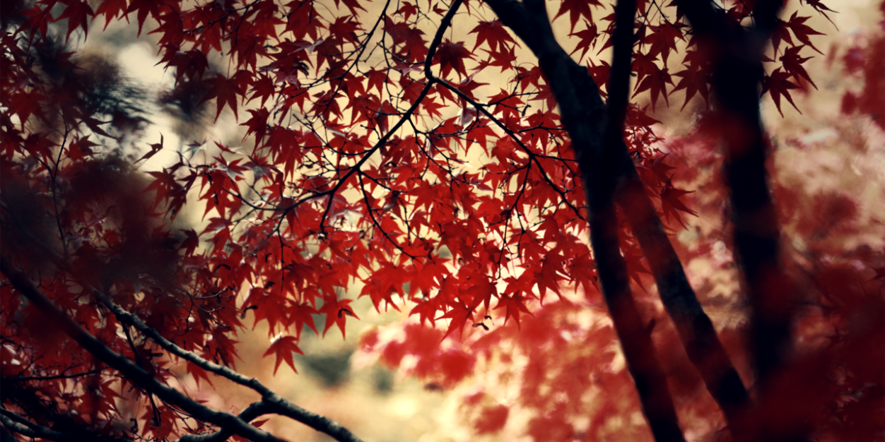 ahweeeeeeeee's profile banner image