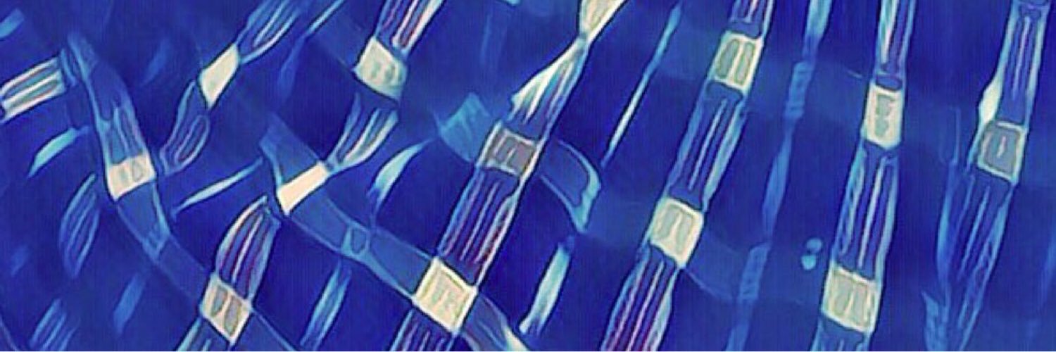 ✨🌸💜emma💜🌸✨ banner