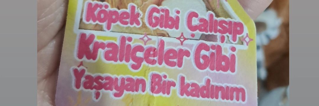 Belginland1907 banner