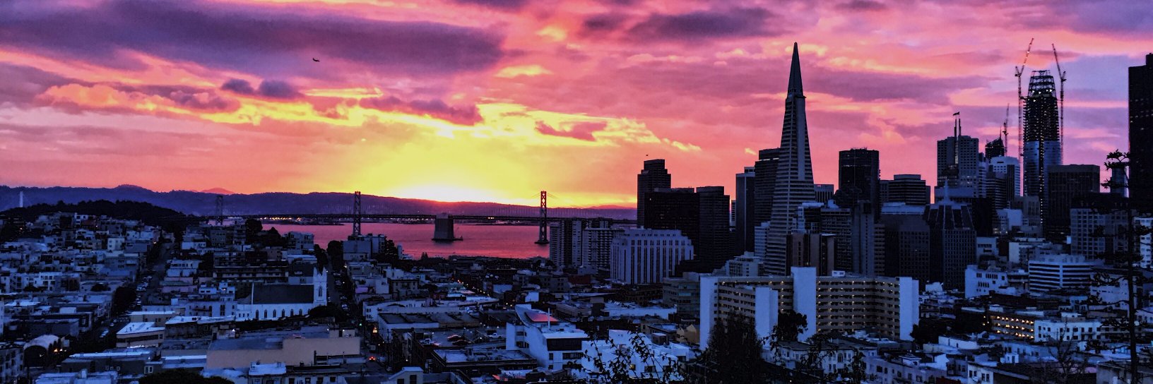 Jackie Gragnola banner