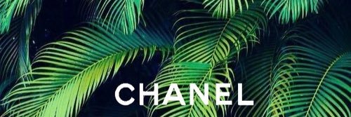 Kellyamberxo's profile banner image