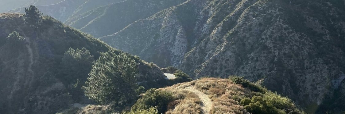 angusbrown_'s profile banner image