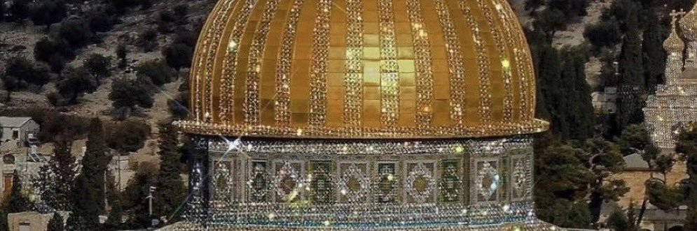 مي محمد العيسى banner