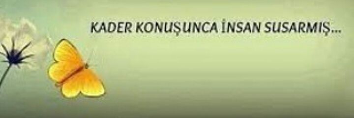 ferdagur's profile banner image