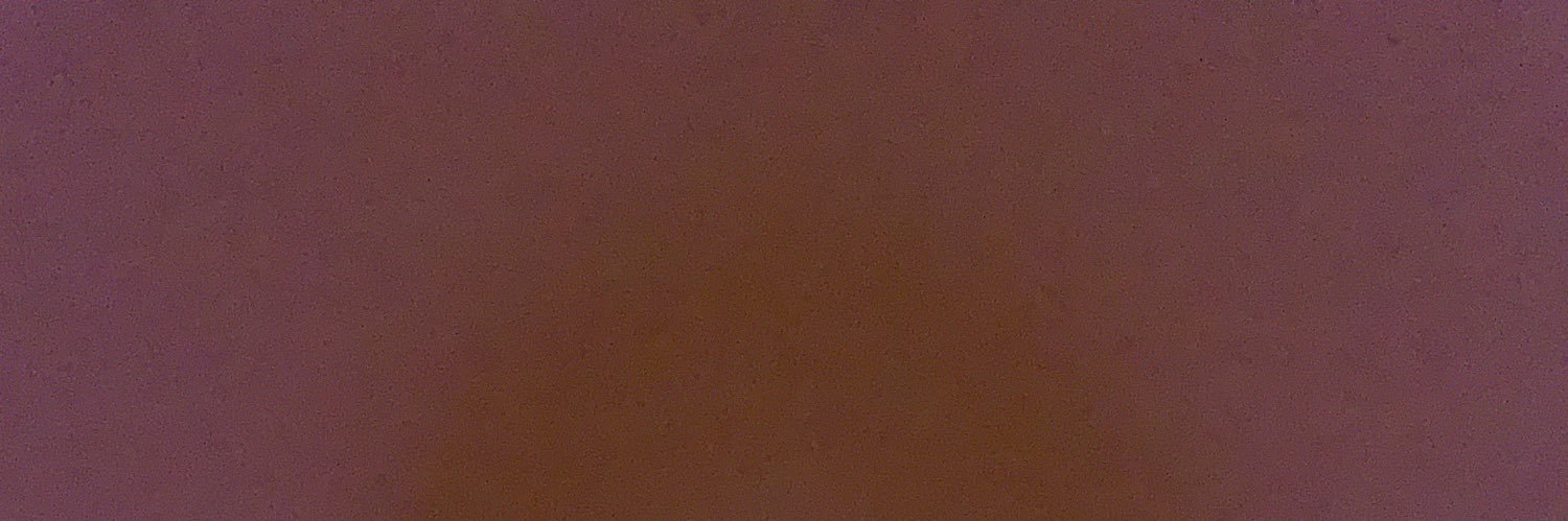 jillianmacdon's profile banner image