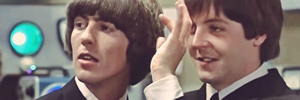 Paul McCartney (Parody) banner