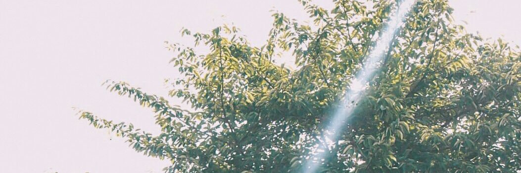ehsrnh's profile banner image