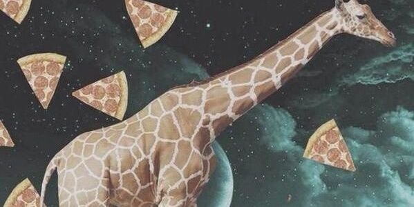 Scott_leRock's profile banner image