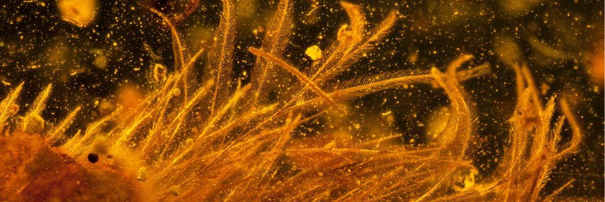 SetimoAndar's profile banner image