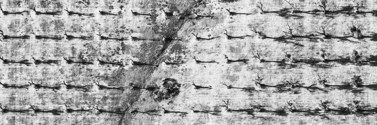 vale_dmc's profile banner image