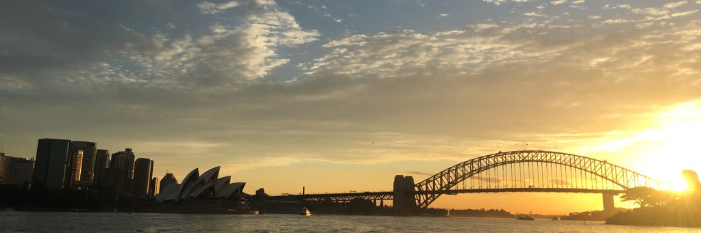 kittygibson's profile banner image
