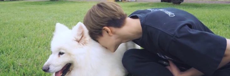 anysarhmn's profile banner image