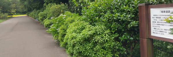 michitoh_m Profile Banner