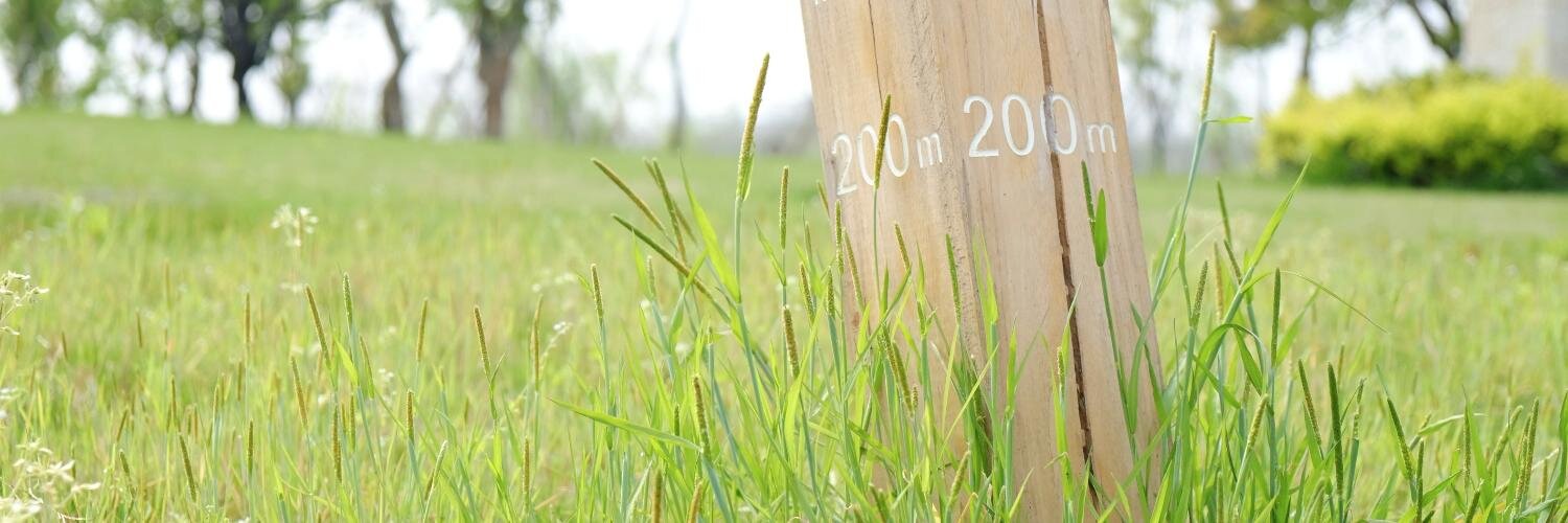 ohsc's profile banner image