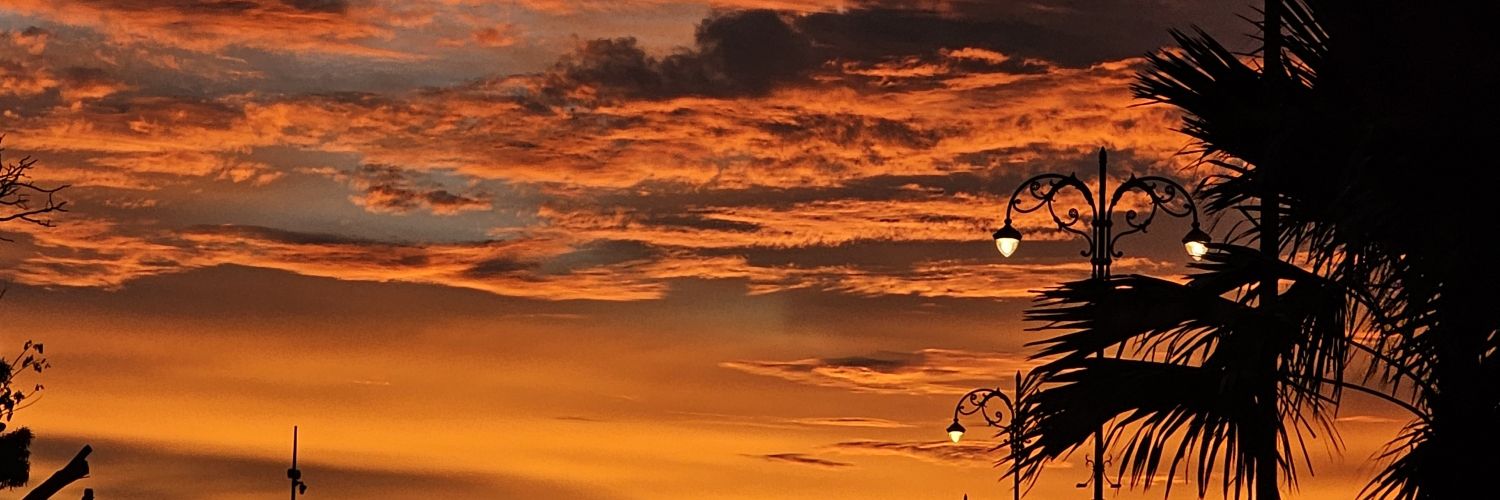 appleswift_'s profile banner image